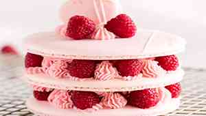 Raspberry Macaron Aux Framboises Cake Recipe