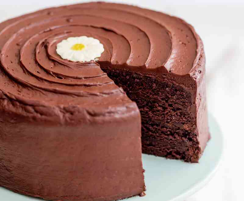 Daisy Chocolate Cake Recipe